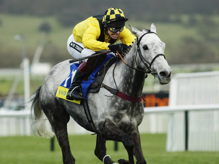 Jockey Richard Johnson and Rooster Booster at Cheltenham in 2003