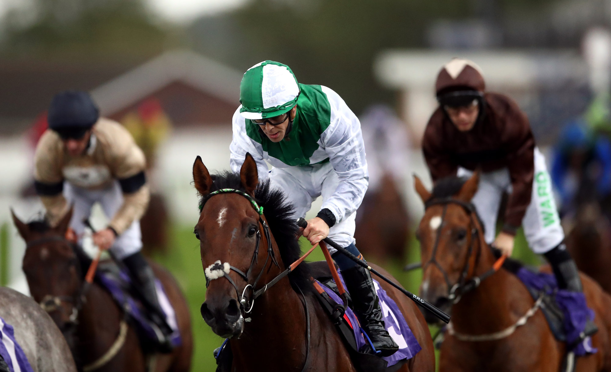 Saturday Horse Racing Preview All The Top Tips From York, Sandown And